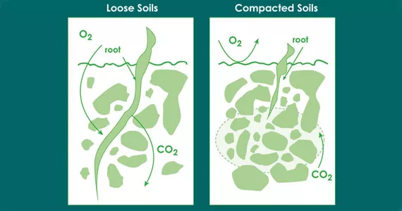 Thoughts on watering plants